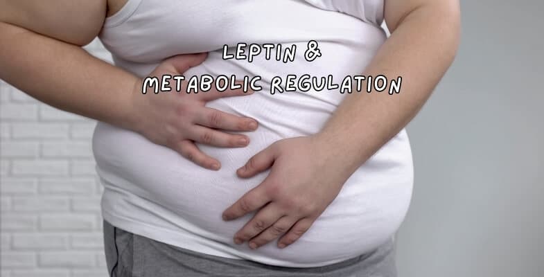 Leptin and Metabolic Regultion